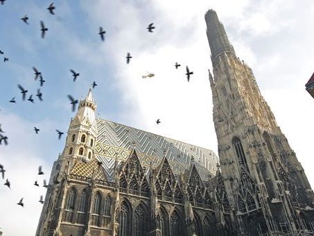 Am 29. Jänner wird die erste Seligsprechung im Wiener Stephansdom zelebriert.