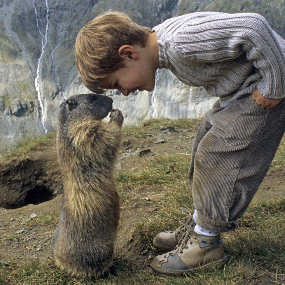 Matteo kommt den eigentlich scheuen Murmeltieren in freier Wildbahn sehr nahe.