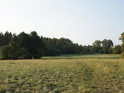 Auf dem Areal der Steinhofgründe in Wien wurde eine Leiche gefunden