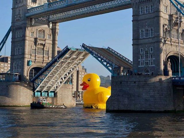 tower bridge care home