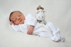 Das Team von alberschwende.vol.at gratuliert herzlich! Das Team von alberschwende.vol.at gratuliert herzlich!