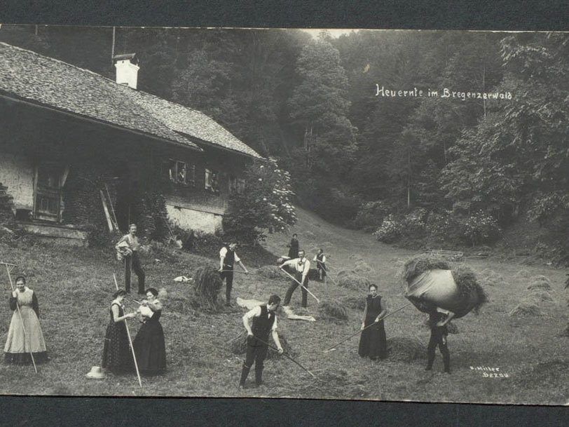 Bei der Heuernte in Bezau um 1900. (Bild: Kaspar Hiller)