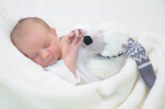 Das Team von lingenau.vol.at gratuliert herzlich!