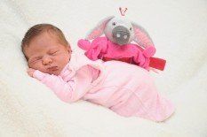 Das Team von wolfurt.vol.at gratuliert herzlich!