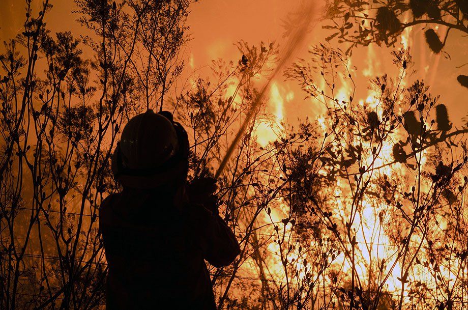 AUSTRALIA NSW BUSHFIRES