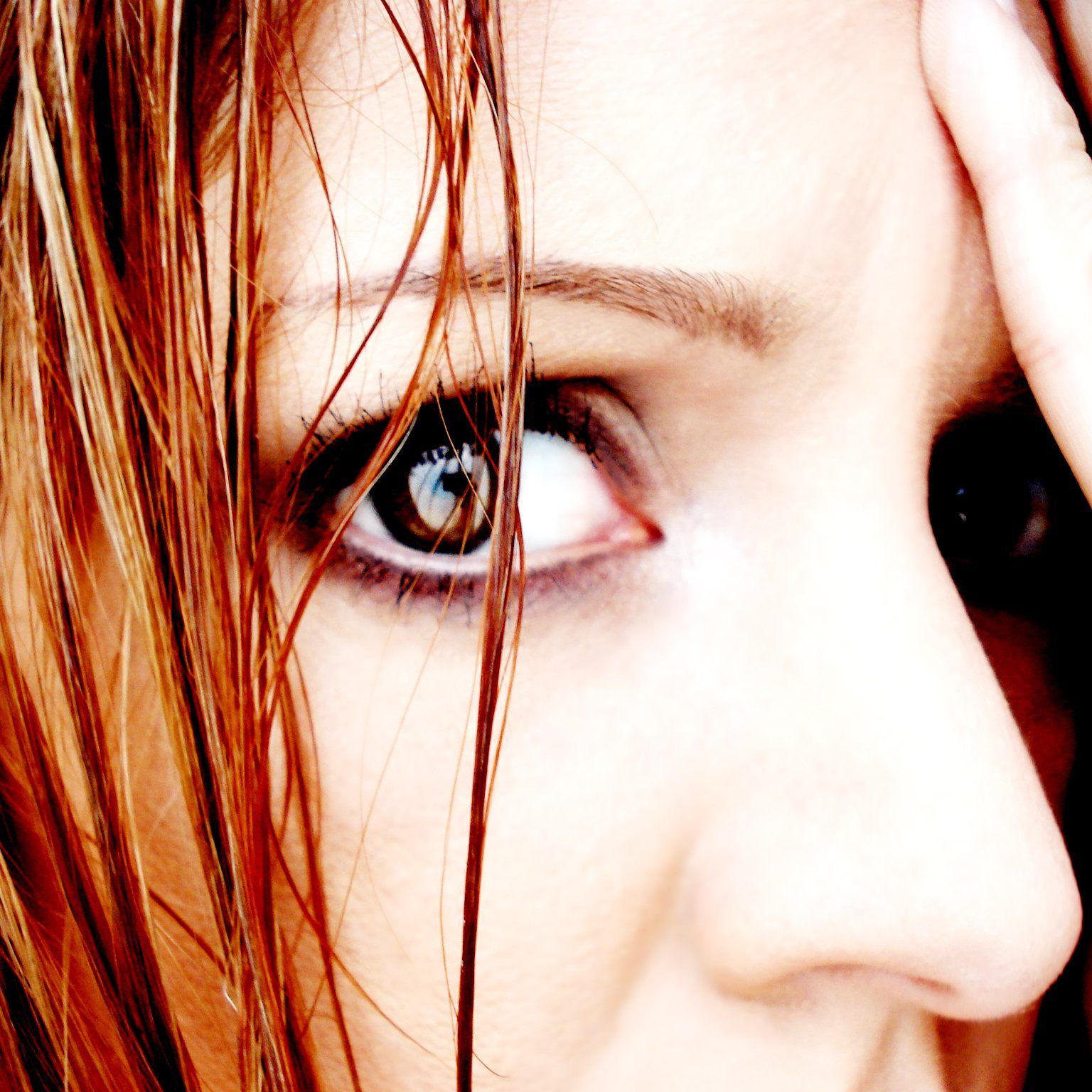 Mögliche Erklärung gefunden, wie Sozialphobien und Angst im Gehirn ausgelöst werden können.