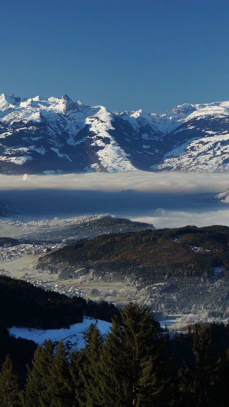 Schöne Stimmung mit dem Raureif