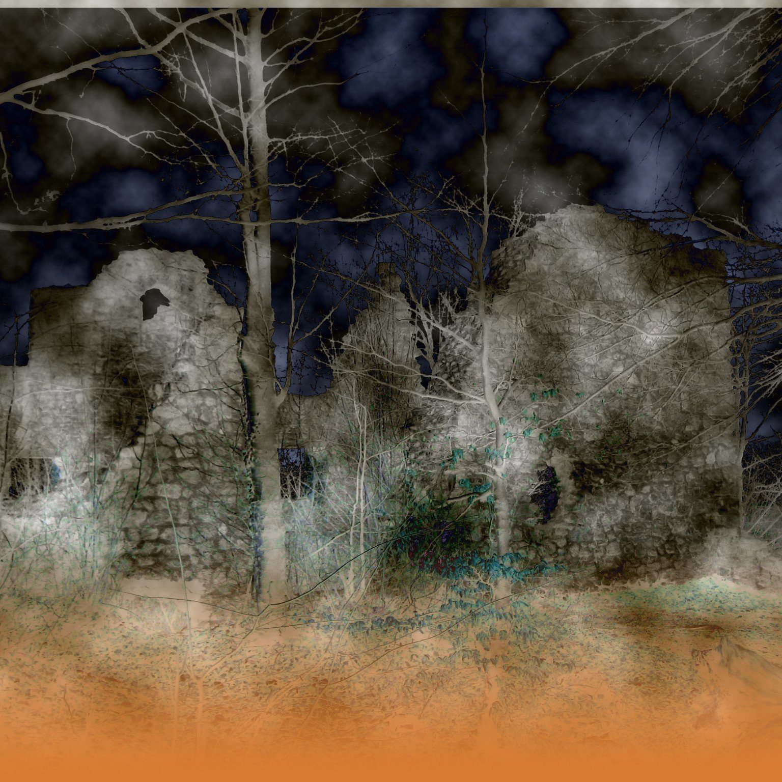 Ruine Neuburg Koblach