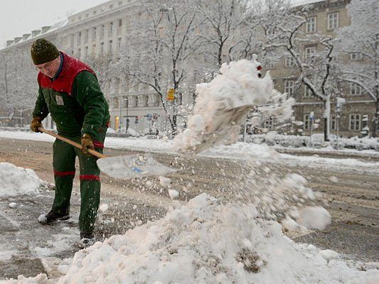 Blüht uns das zu Weihnachten in Wien? Blüht uns das zu Weihnachten in Wien?