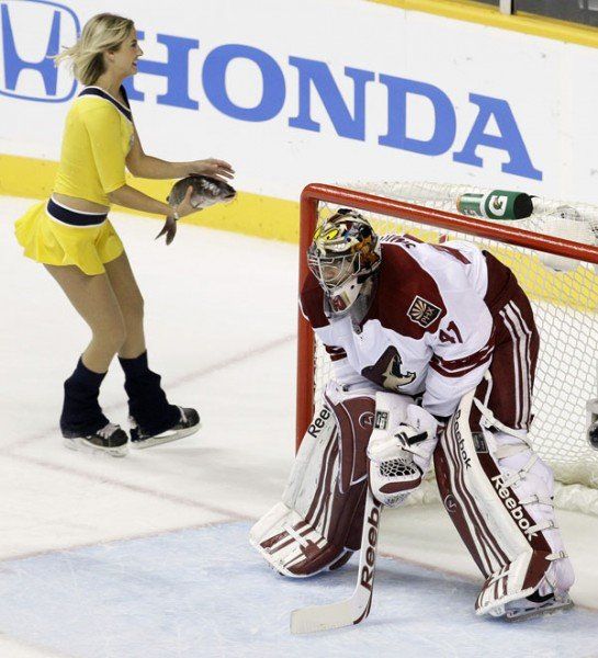 Coyotes Predators Hockey