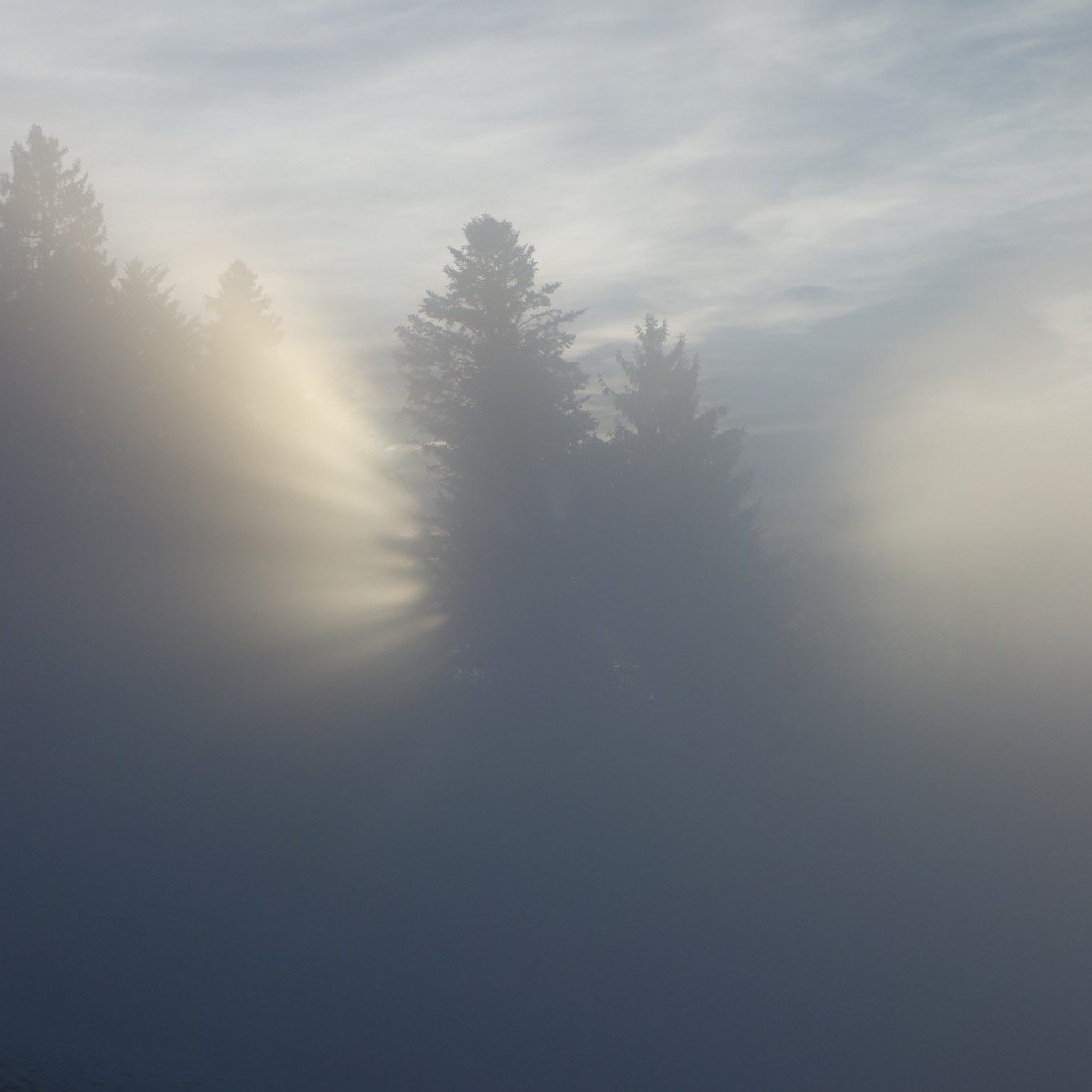 Aufstieg auf dem Pfänder