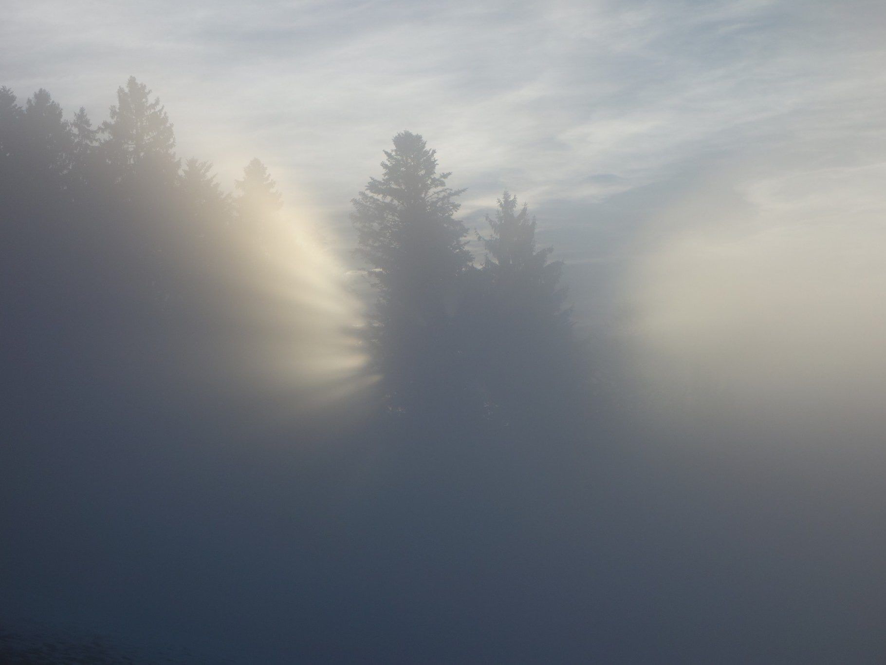 Aufstieg auf dem Pfänder