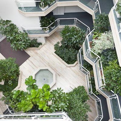 Innenraumbegrünung Blumen Hotz - Stocker Dornbirn