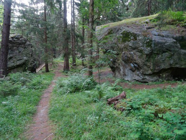 Bild3_wunderschoenePfade_web Bild3_wunderschoenePfade_web
