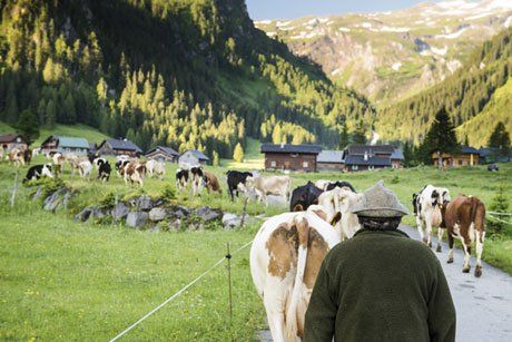 Bild_2 Bild_2