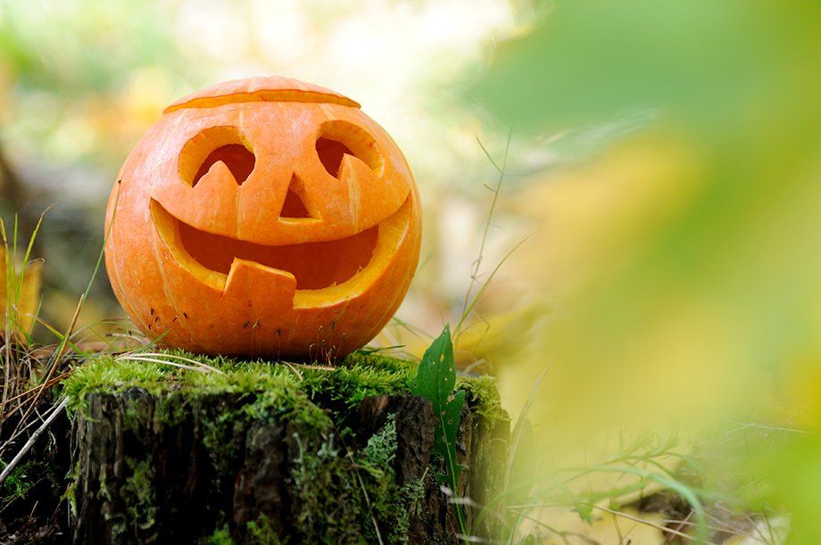 shutterstock_114708181 shutterstock_114708181