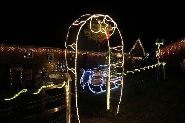 IMG_1592 IMG_1592