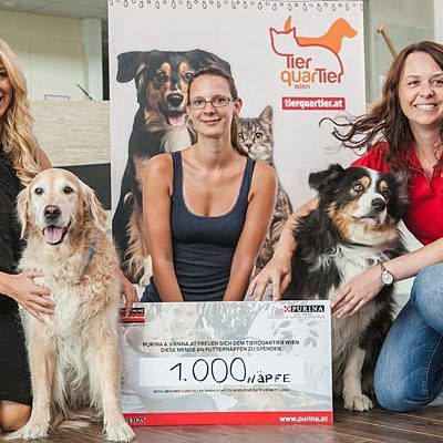"Glücksengerl" Yvonne Rueff mit Hündin Nikita, VIENNA.at-Chefredakteurin Johanna Mayer und TierQuarTier-Leiterin Alexandra Leitold mit Rüde Diego bei der Spenden-Übergabe