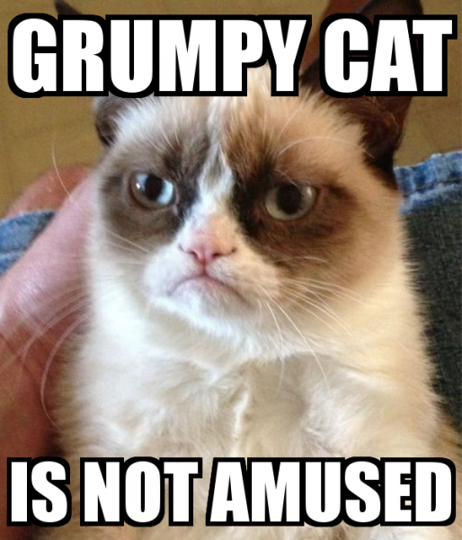 grumpy-cat-is-not-amused