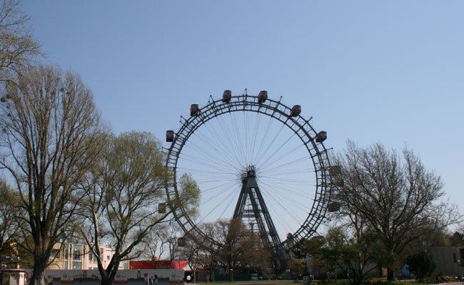 IMG_1465 IMG_1465