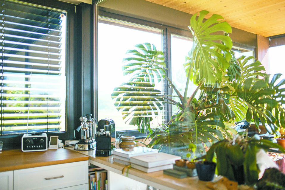 processed by Octavian processed by Octavian