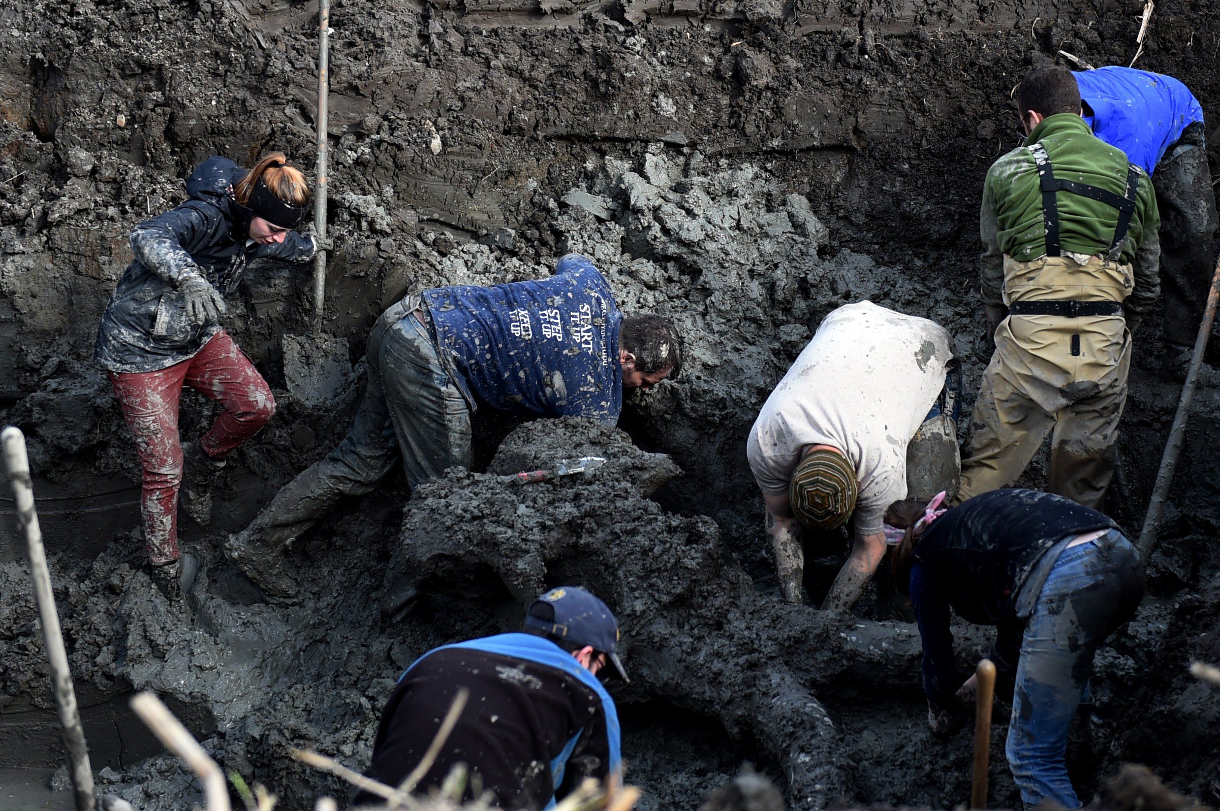 Woolly Mammoth-Farmer Woolly Mammoth-Farmer