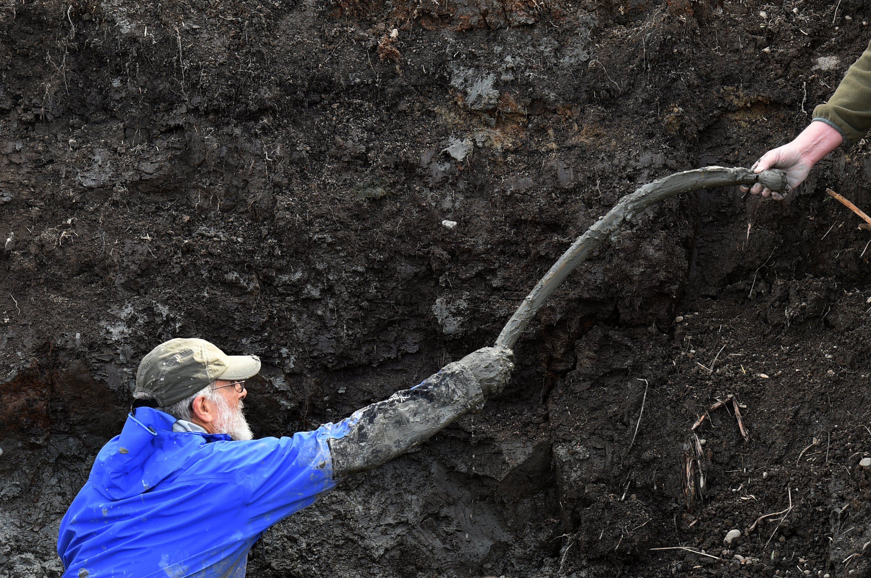 Woolly Mammoth-Farmer Woolly Mammoth-Farmer