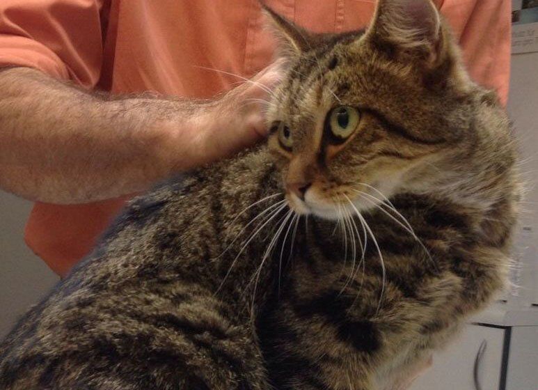 Jennihard1 Jennihard1