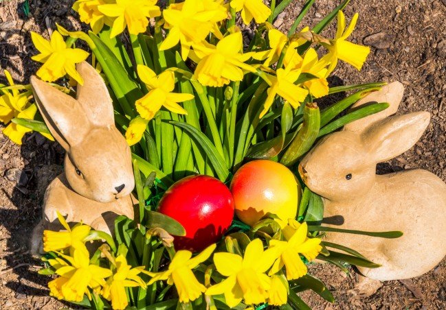 Der Hase und das Ei - unerlässliche Symbole für Ostern./Bilderbox