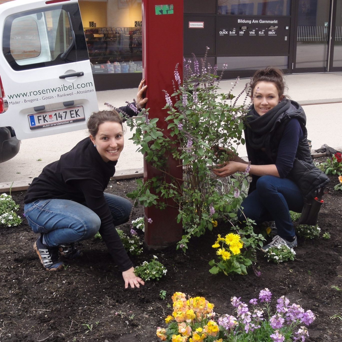 Bienenfreundliche Pflanzen Am Garnmarkt Götzis