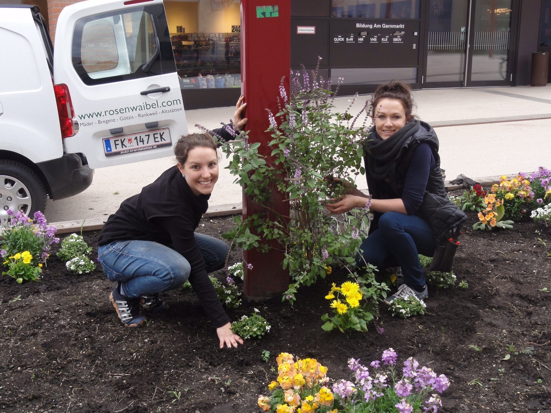 Bienenfreundliche Pflanzen Am Garnmarkt Götzis Bienenfreundliche Pflanzen Am Garnmarkt Götzis