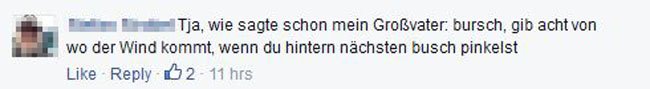 dashimmlischekind2