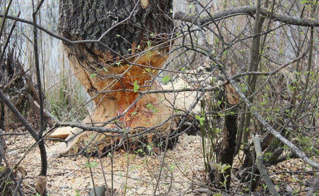 VIENNA.at/Jennifer Schindl VIENNA.at/Jennifer Schindl