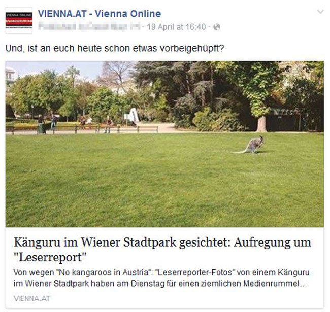 nokangaroosinaustria1