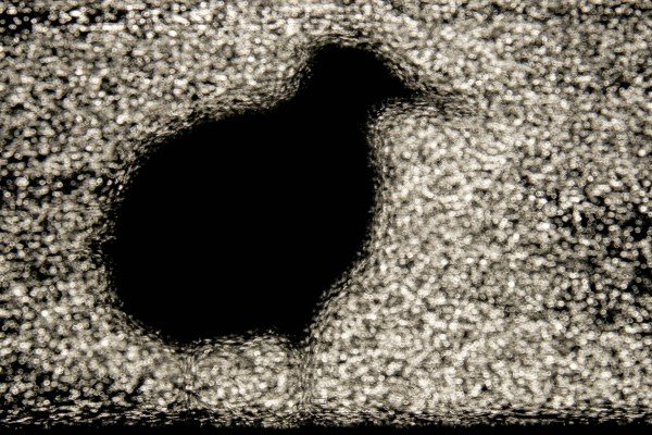 K6_01_Thomas_Brocher-Moewenkringel K6_01_Thomas_Brocher-Moewenkringel