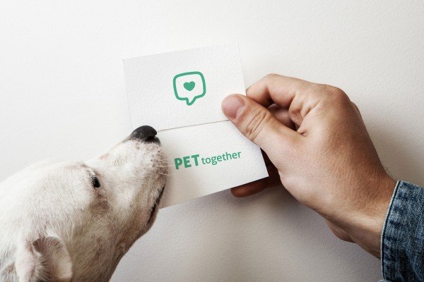 PETtogether_2 PETtogether_2