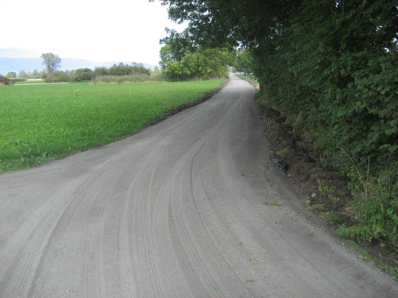 Die bestehenden Wege im Rankweiler Weitried wurden im Sommer 2015 saniert. Die bestehenden Wege im Rankweiler Weitried wurden im Sommer 2015 saniert.