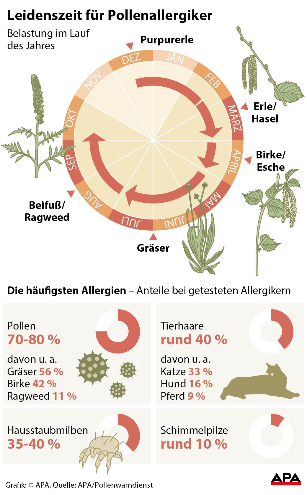 Leidenszeit fr Pollenallergiker