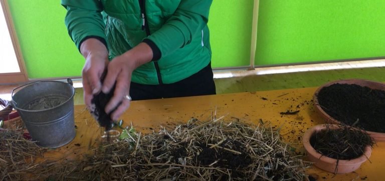 Fünf Tipps für das richtigen Kompostieren im Hausgarten - Garten -- VOL.AT