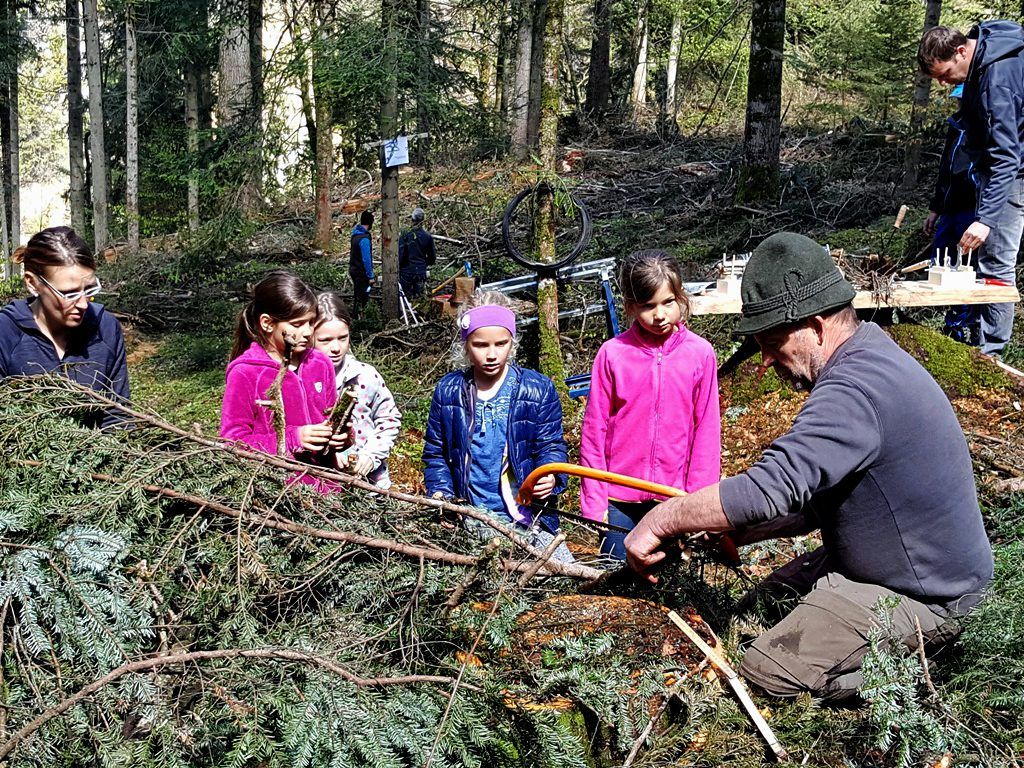 Biomassepotential im Vorderwald: Die Jüngsten sind bei einer Veranstaltung zur Brennholzbörse mit Begeisterung dabei.