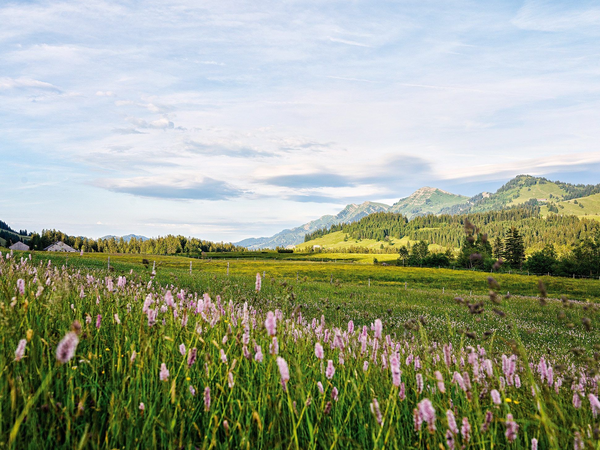 Die Heimat vieler seltener Pflanzen und Tiere ist ein beliebtes Erholungsgebiet und Ausgangspunkt für zahlreiche Wanderungen. Die Heimat vieler seltener Pflanzen und Tiere ist ein beliebtes Erholungsgebiet und Ausgangspunkt für zahlreiche Wanderungen.