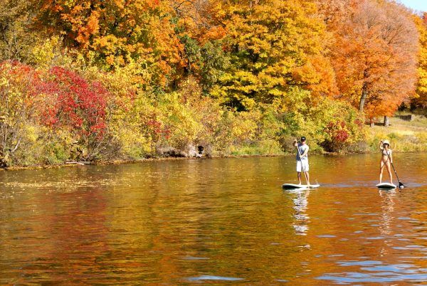 stand-up-paddle-pixabay stand-up-paddle-pixabay