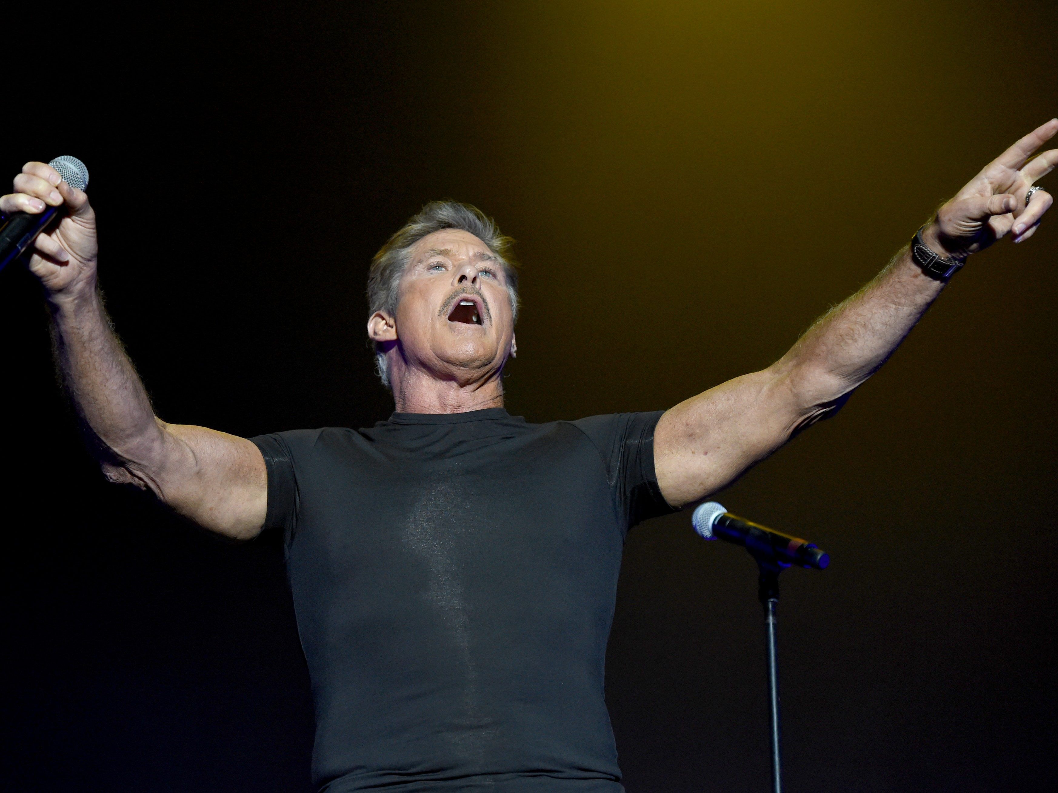 David Hasselhoff tritt beim Wiener Stadtfest 2017 auf. David Hasselhoff tritt beim Wiener Stadtfest 2017 auf.