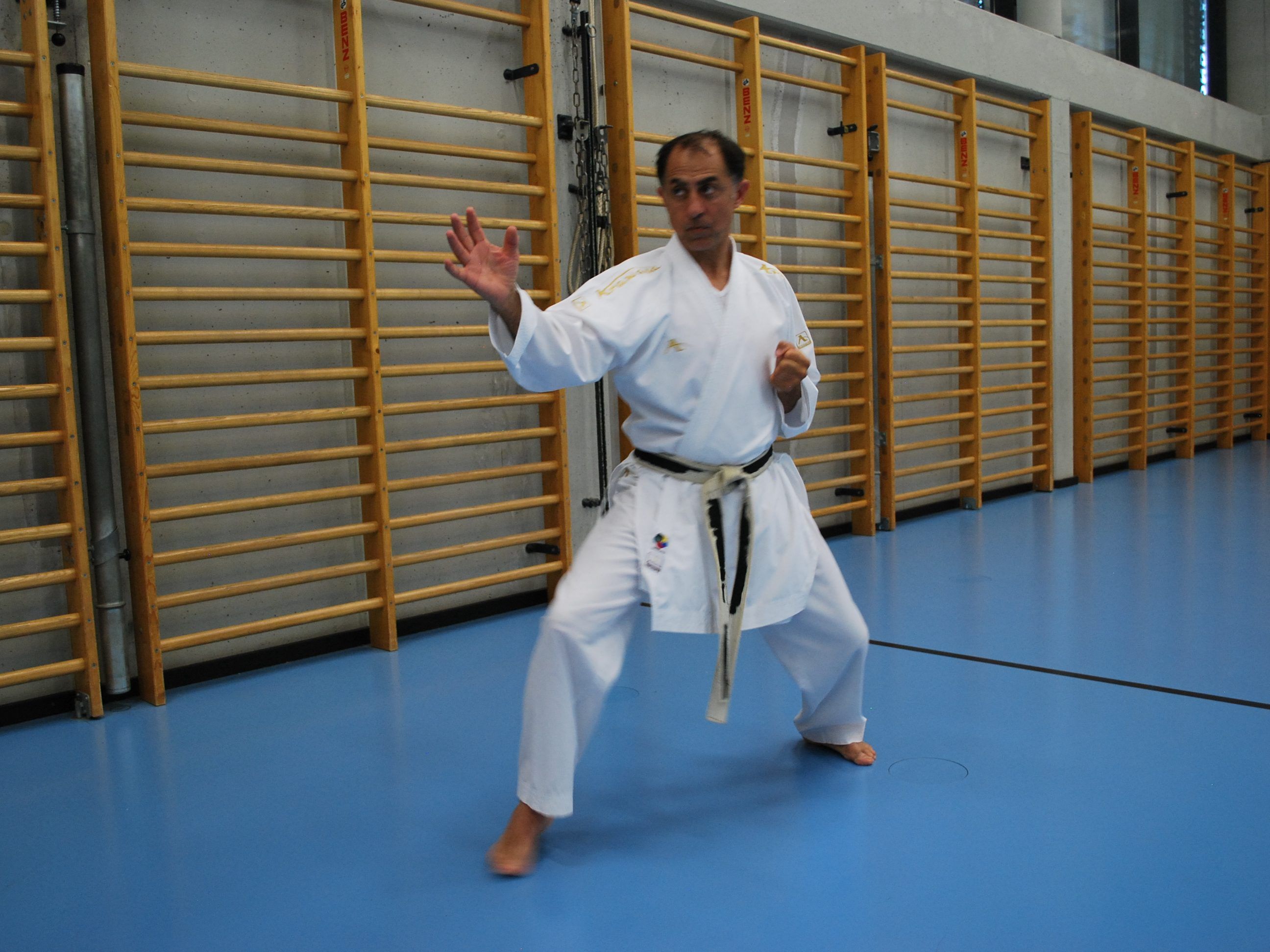 Bundestrainer Dragan Leiler, 7. Dan, trainiert den Kader des Karateclubs Lustenau. Bundestrainer Dragan Leiler, 7. Dan, trainiert den Kader des Karateclubs Lustenau.