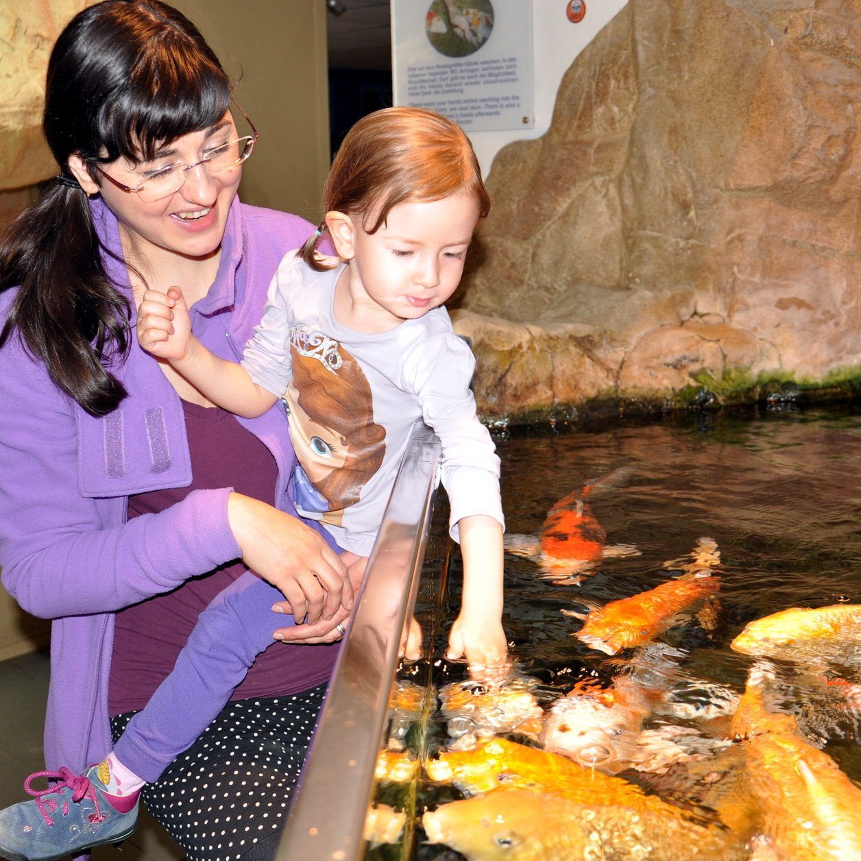 Kois füttern und vieles mehr kann man im Haus des Meeres tun
