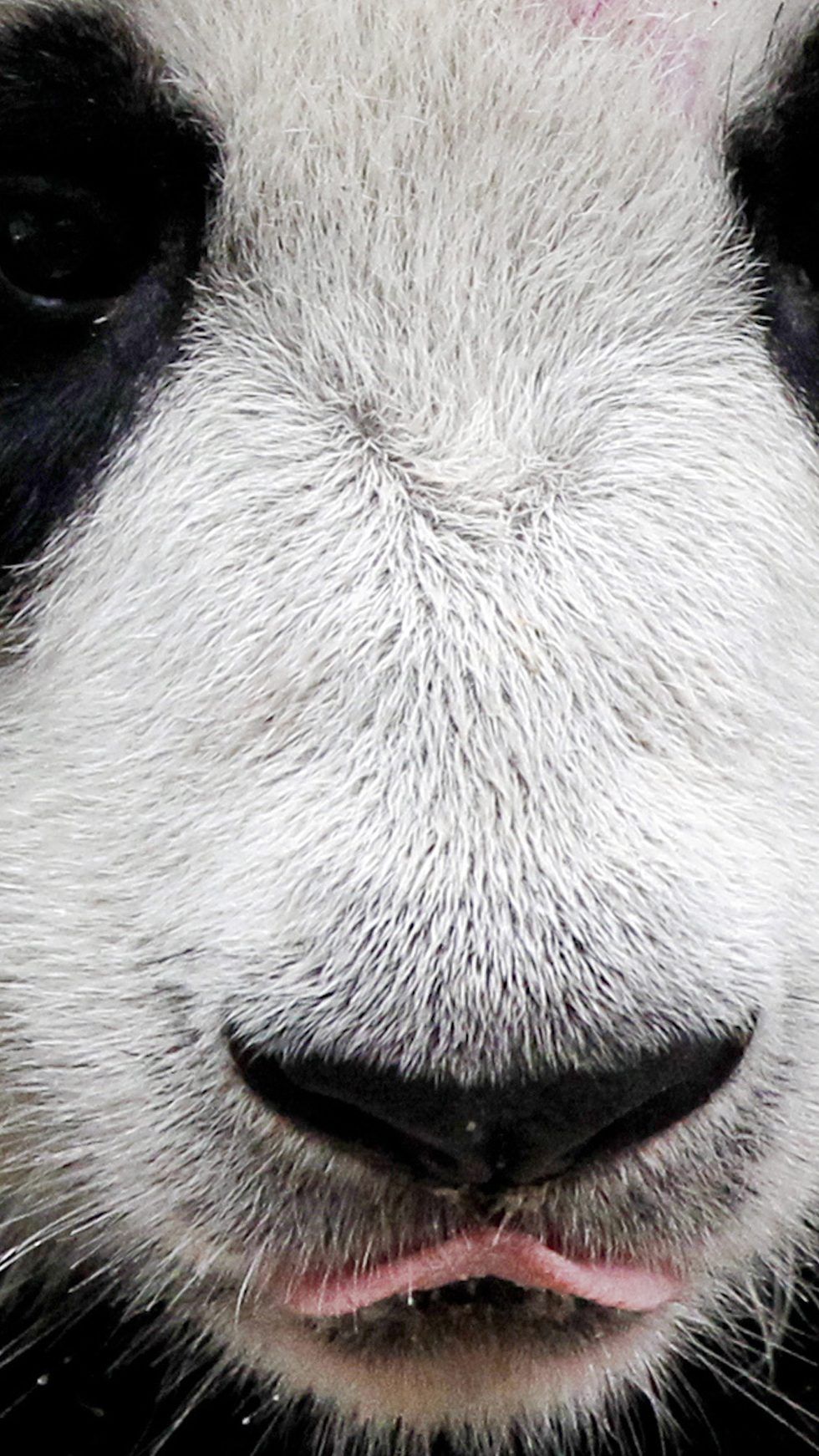 Ja, wo ist denn mein Baby?