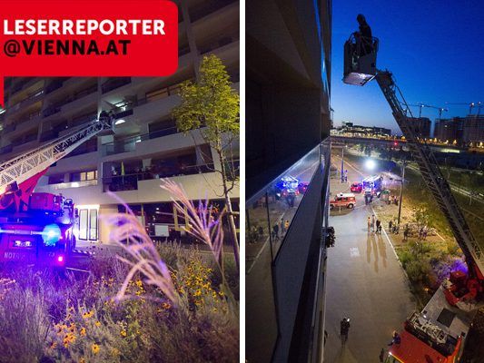 Nach dem Auffinden der Quelle des Brandgeruchs konnte die Berufsfeuerwehr Wien Entwarnung geben. Nach dem Auffinden der Quelle des Brandgeruchs konnte die Berufsfeuerwehr Wien Entwarnung geben.