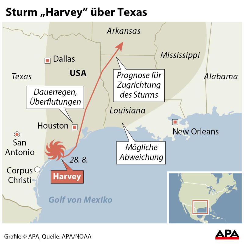 harvey harvey