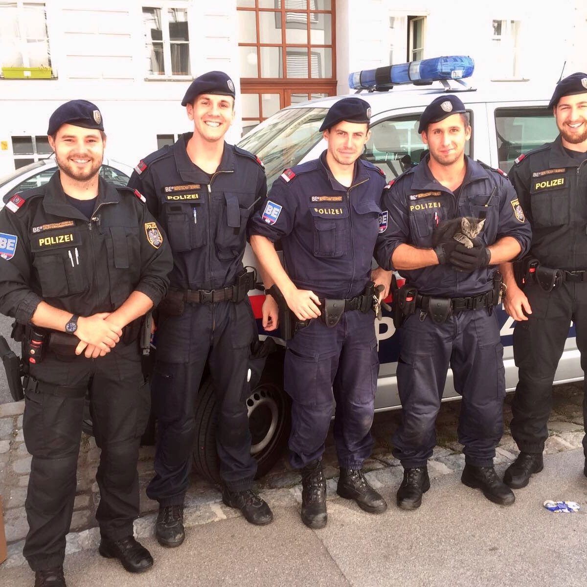 Diese kleine Katze konnten die Polizisten in Alsergrund befreien