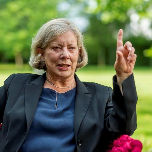 Gabriele Sprickler-Falschlunger: Wie "Entscheidung zwischen Pest und Cholera"